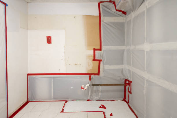Mold Remediation for Vacation Homes in Windy Hills, KY