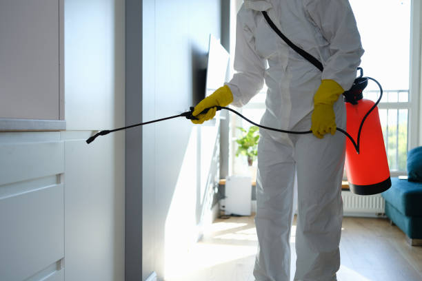 Best Mold Odor Removal Services  in Windy Hills, KY